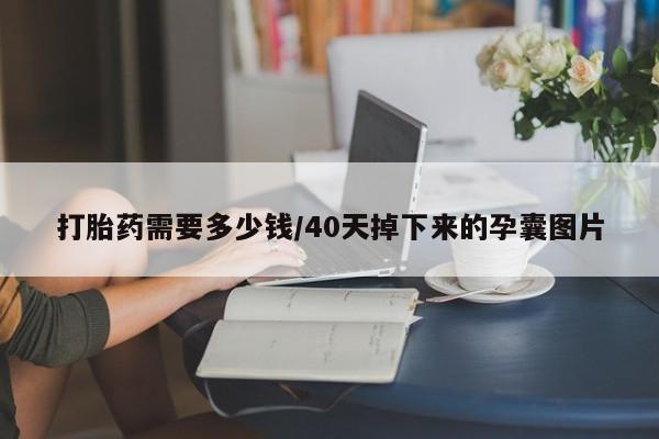 网上米非米索在线购买打胎药需要多少钱/40天掉下来的孕囊图片