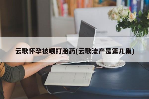 网上米非米索在线购买云歌怀孕被喂打胎药(云歌流产是第几集)